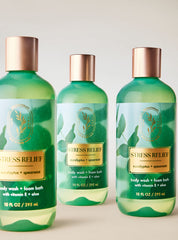 Eucalyptus Spearmint Body Wash & Foam Bath