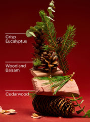 Fresh Balsam Single Wick Candle