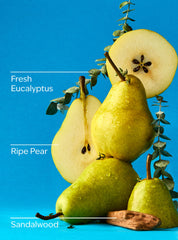 Falling Flurries 3-Wick Candle