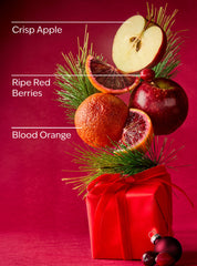 Bright Christmas Morning Single Wick Candle