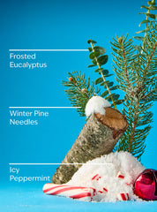 Frosted Forest Concentrated Room Spray