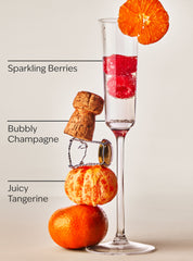 Champagne Toast Wallflowers Refills 2-Pack