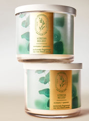 Eucalyptus Spearmint 3-Wick Candle
