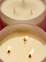 Twisted Peppermint 3-Wick Candle