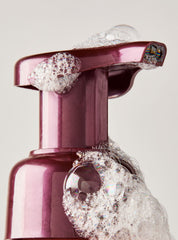 Winterberry Ice Gentle & Clean Foaming Hand Soap