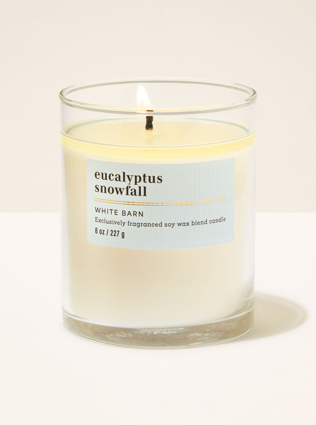 Eucalyptus Snowfall Single Wick Candle